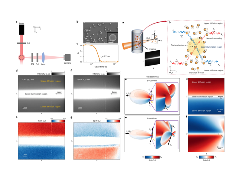 上海交大王波、陈险峰研究团队在具有布朗运动的纳米颗粒系统中发现巨大光子自旋锁定效应