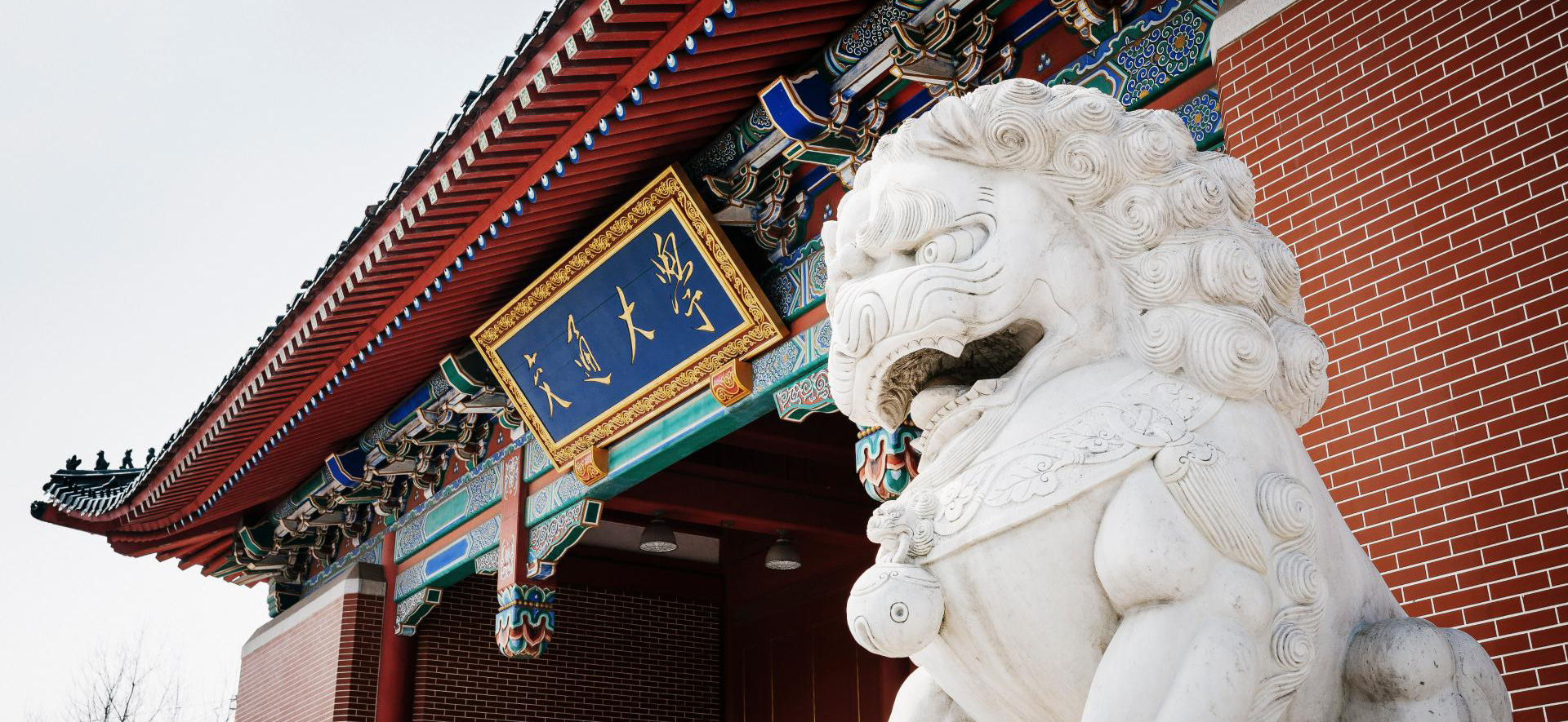 上海交大学习贯彻习近平总书记重要回信精神