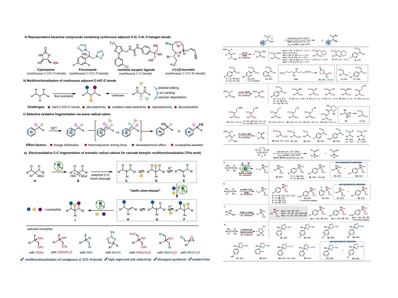 上海交大变革性分子前沿科学中心申涛团队通过芳基自由基阳离子的电氧化C-C键断裂实现级联苄位多官能化