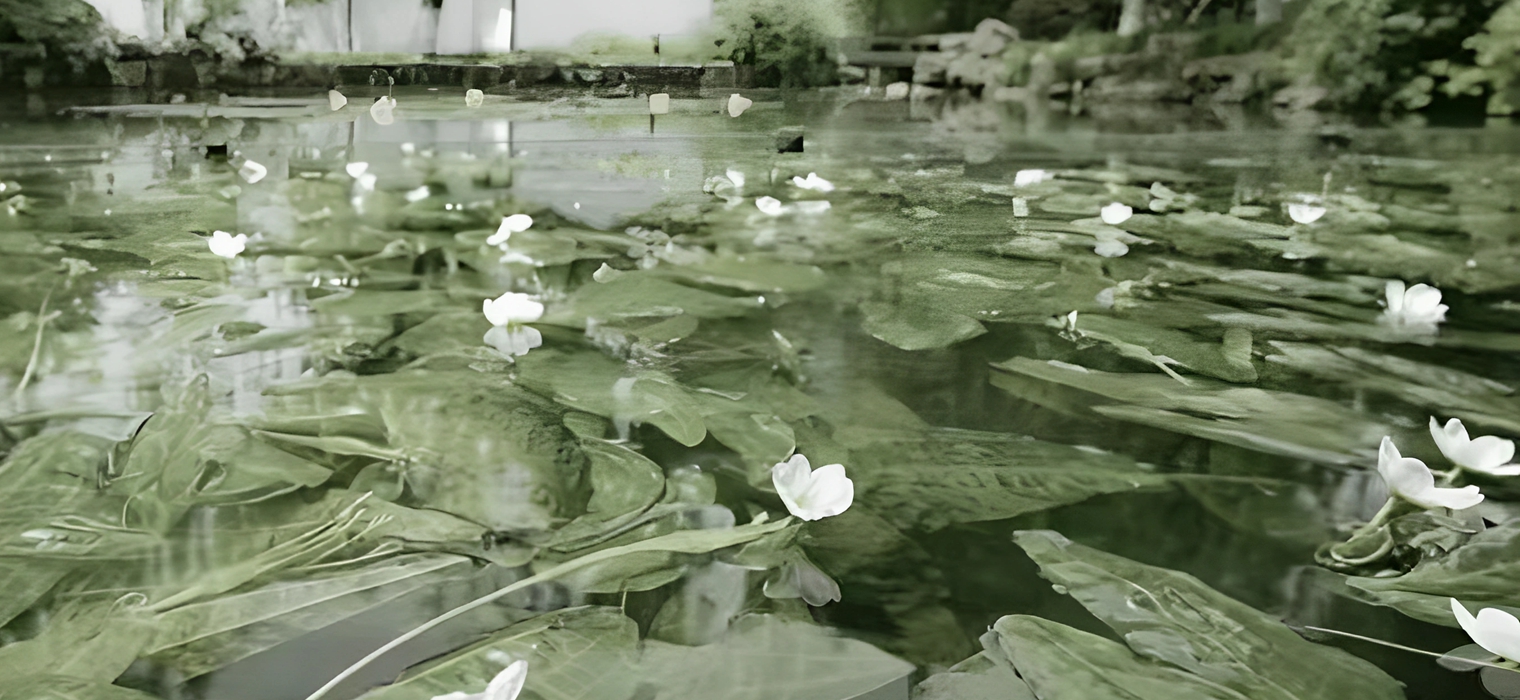 交大原创话剧演出季 | 《海菜花开》再度“绽放”