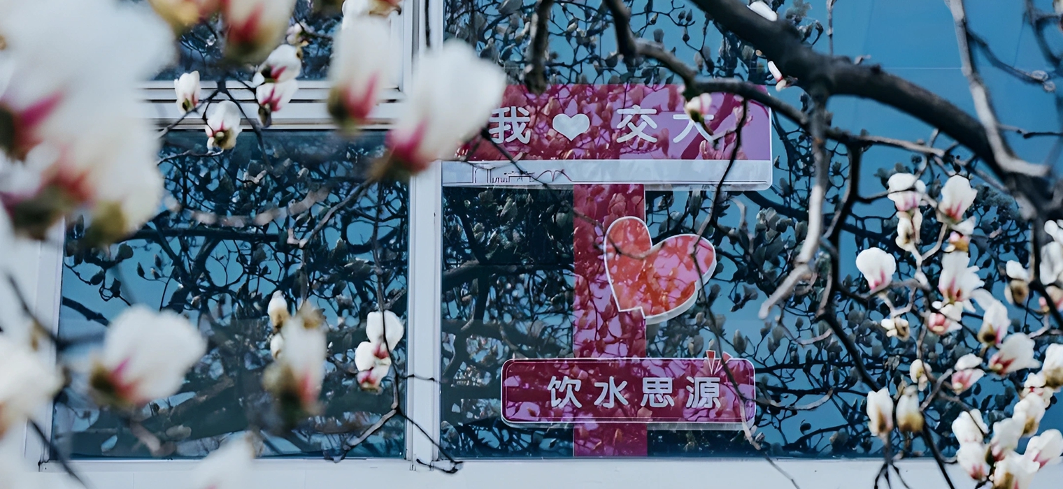 春枝衔信，玉兰候新 | 百卅交大，未来，与你共赴