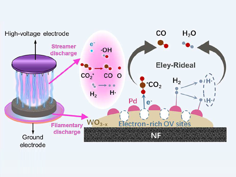 上海交大环境学院晏乃强教授团队与合作者发文提出氧空位工程Pd-WO<sub>3-x</sub>催化剂在独特设计的等离子体-催化反应器中赋能CO<sub>2</sub>高效转化