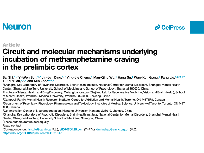 上海交大心理学院、医学院附属精神卫生中心赵敏/袁逖飞团队破译成瘾神经密码