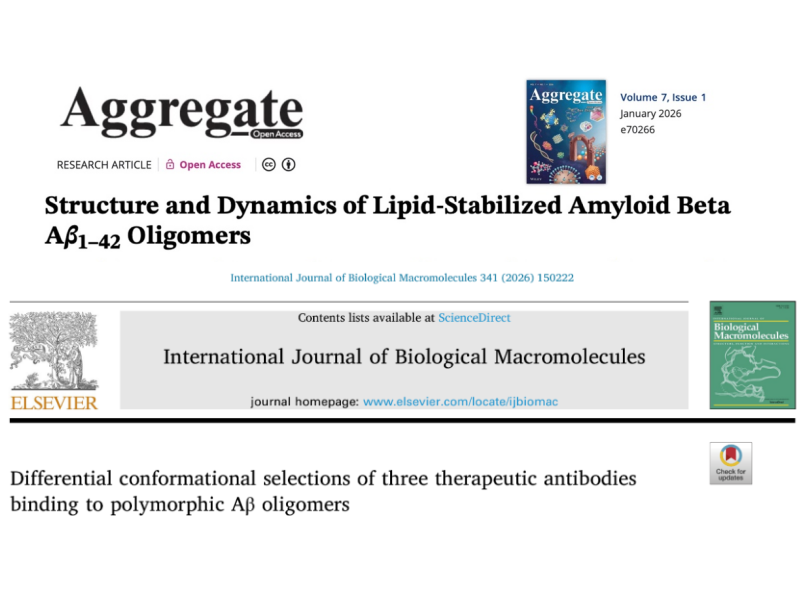 上海交大药学院马步勇课题组：破解阿尔茨海默病关键毒性结构和抗体识别机制