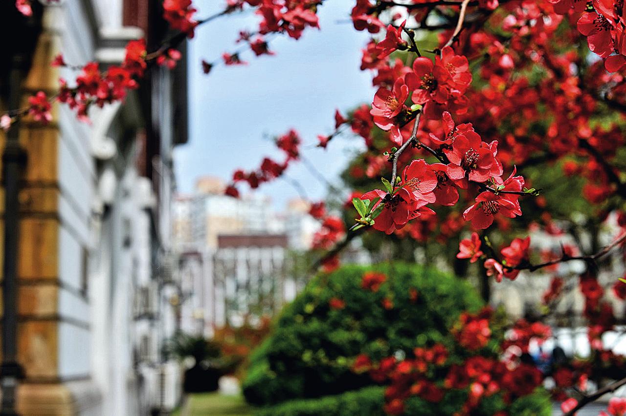 240幅国画、130张藏书票、80余件校史文献……全部捐给交大