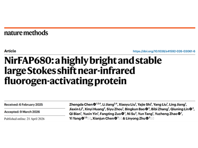 上海交大生物医学工程学院朱麟勇团队与合作者报道近红外荧光激活蛋白研究的突破性进展