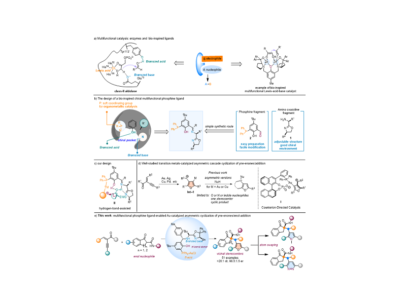 上海交大变革性分子前沿科学中心杨国强团队实现多功能手性膦配体的开发