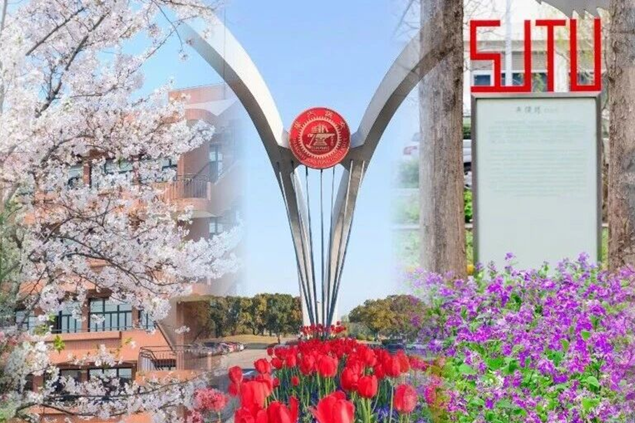 交大色彩漫步——从春的温柔走向夏的热烈