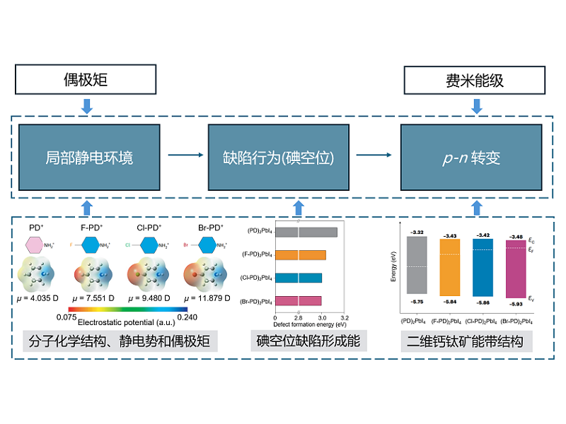 上海交大赵一新教授团队在Nature Photonics发文提出分子调控二维钙钛矿p-n类型转变并实现高效稳定钙钛矿/晶硅叠层太阳能电池